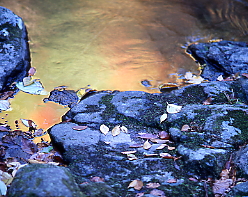 渓流に秋、赤目渓谷