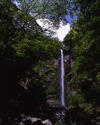 まぼろしの滝、古座川町平井