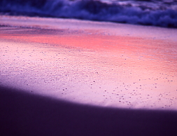 夕陽に染まる浜辺、海の中道、滋賀島
