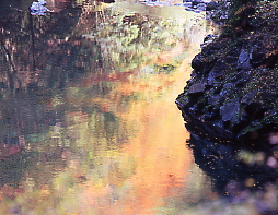 川面に映る秋色