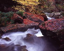 秋の色、宮の滝、洲本市千草