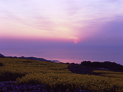 朝陽が登る、大阪湾