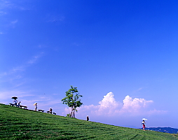 夏の丘