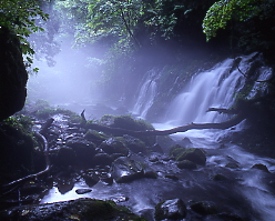 コケ滝、声が聞こえない程の水量に圧倒される。