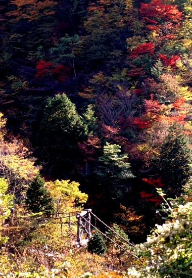東祖屋山村、秋風景、３５ｍｍ