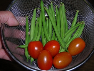 2011,7,4収穫インゲン豆、ミニトマト