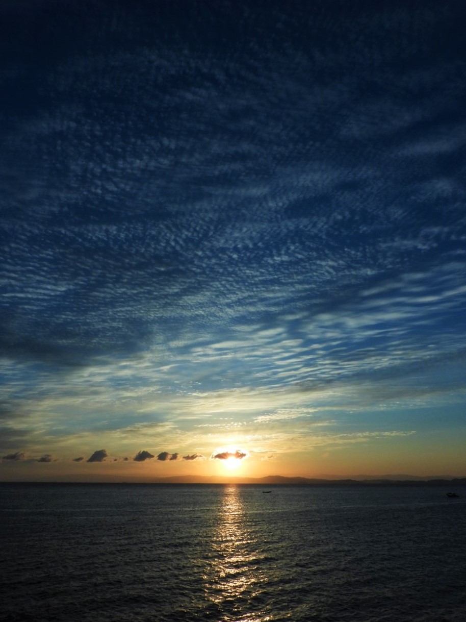 DSCN3987 (3)朝陽（大阪湾）２０２２年１０月３０日AM６：４０