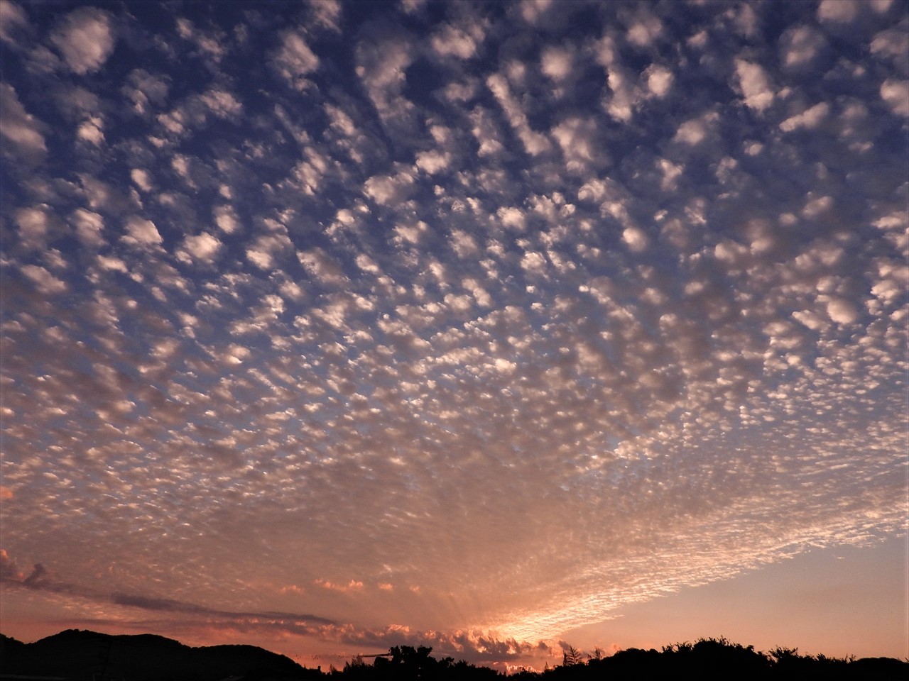 DSCN0477 (2)昇陽と、いわし雲２０２２年１０月１日AM６：１１
