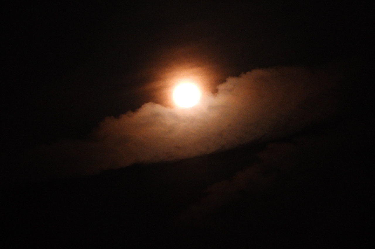 宇原のヒカンザクラ 020昨夜の満月に雲２０２３年３月８日２０：４０