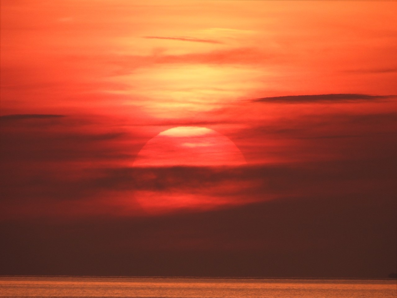 DSCN0912 (2)昇陽（大阪湾）（洲本川河口付近）２０２２年８月３日AM５：２１