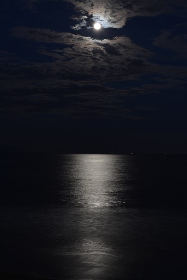 271_Rこれ９月８日１８：４３函館湾の月光