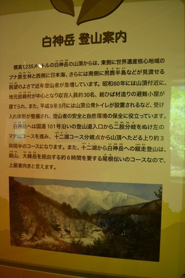 201_R白神岳登山案内鳥海山２０２４年９月１３日（土）１１：２５