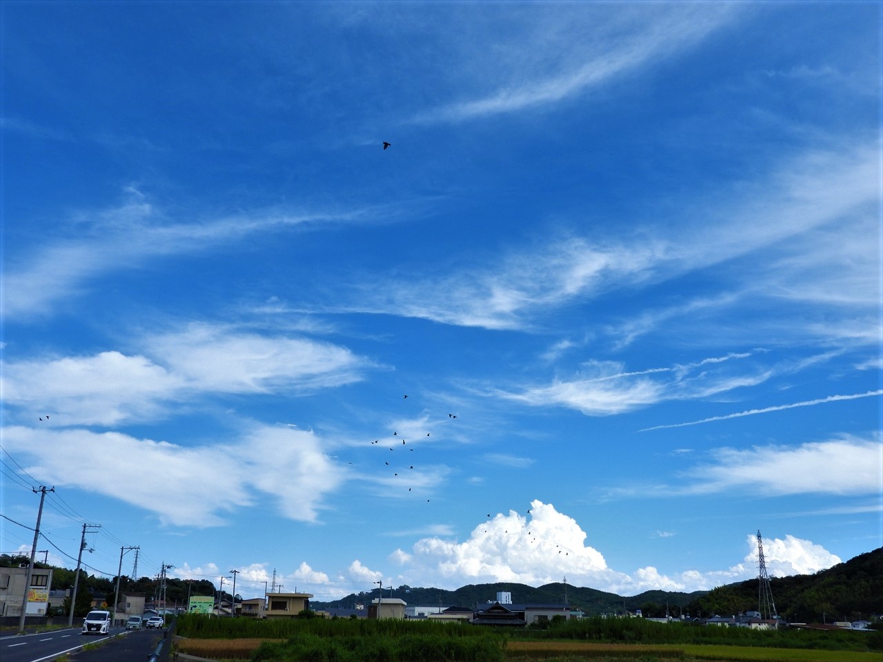 DSCN3079 (2)夏空に舞うハト入道雲２０２２年９月３日１４：３２