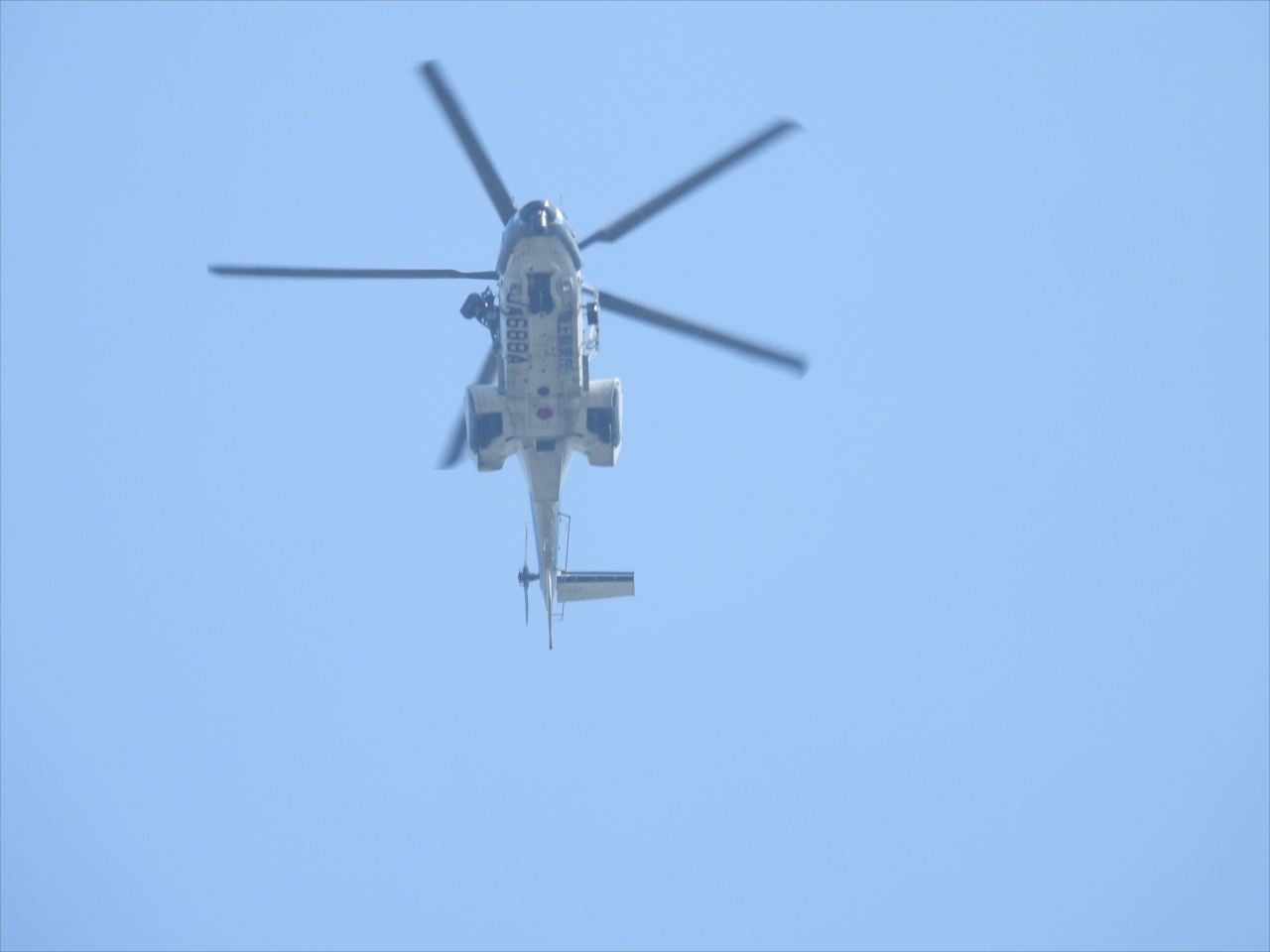 012JA６８８Aコウノトリ撮影中に飛来した海上保安庁のヘリ、２０２４年３月３０日