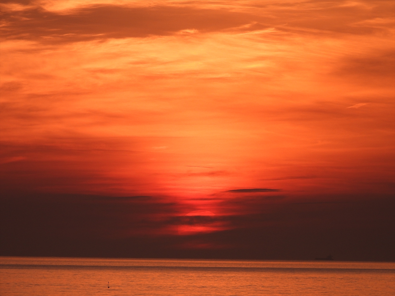 DSCN0909昇陽（大阪湾）（洲本川河口付近）２０２２年８月３日AM５：２０