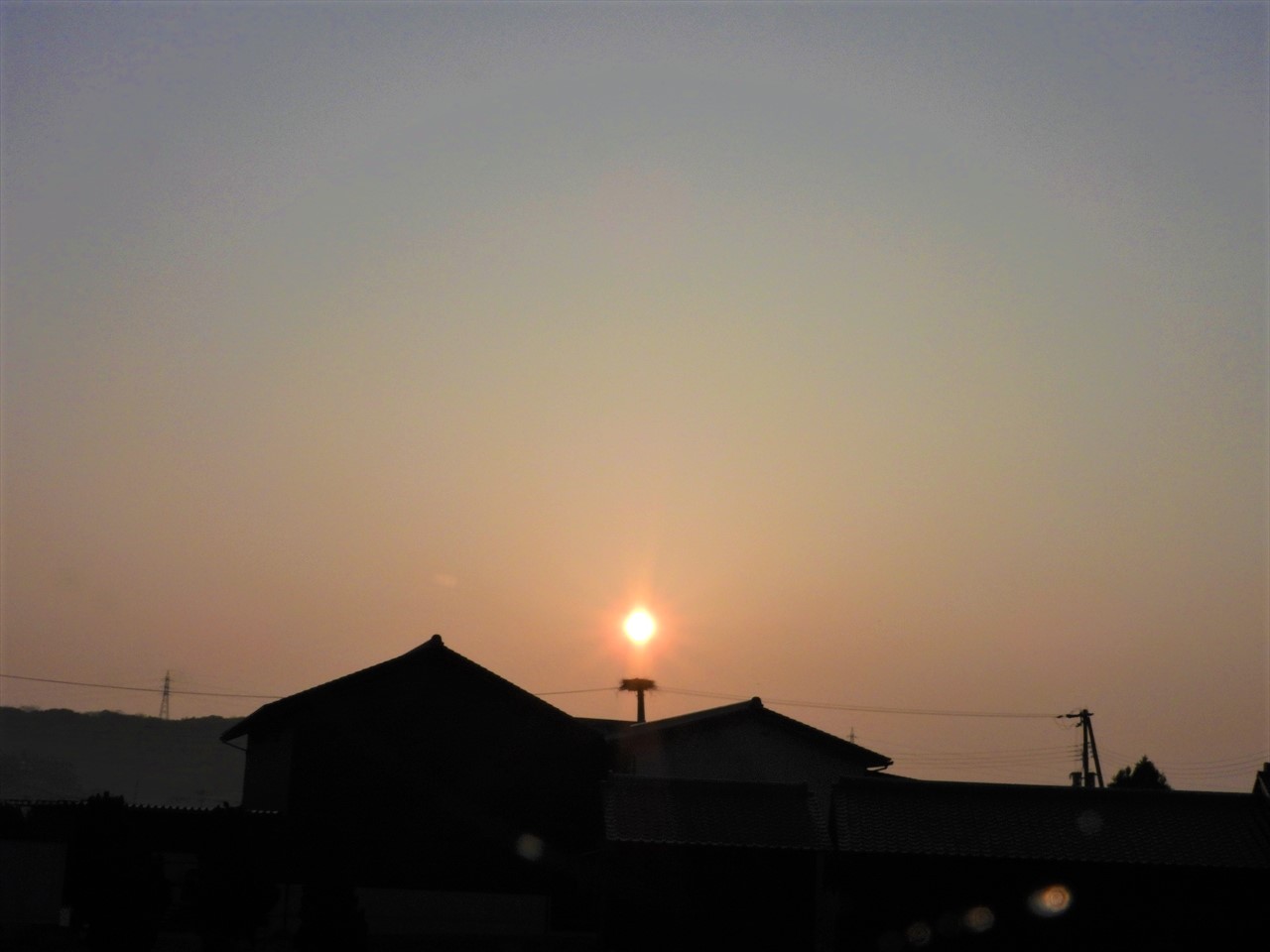 DSCN9857 (2)昇陽とコウノトリ巣塔２０２１年３月１５日AM７：０１