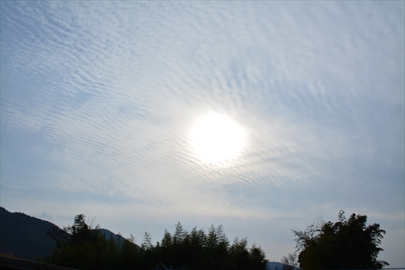 野鳥池内午後 038_R１４：０１雲と太陽