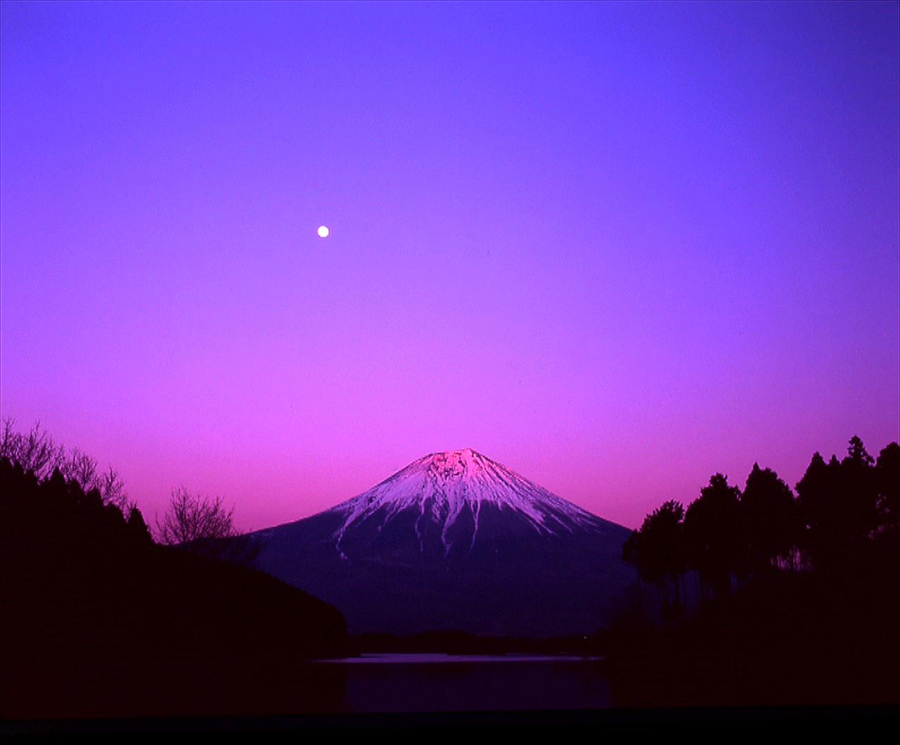 167これ富士山と満月（田貫湖 ）(3)５０％
