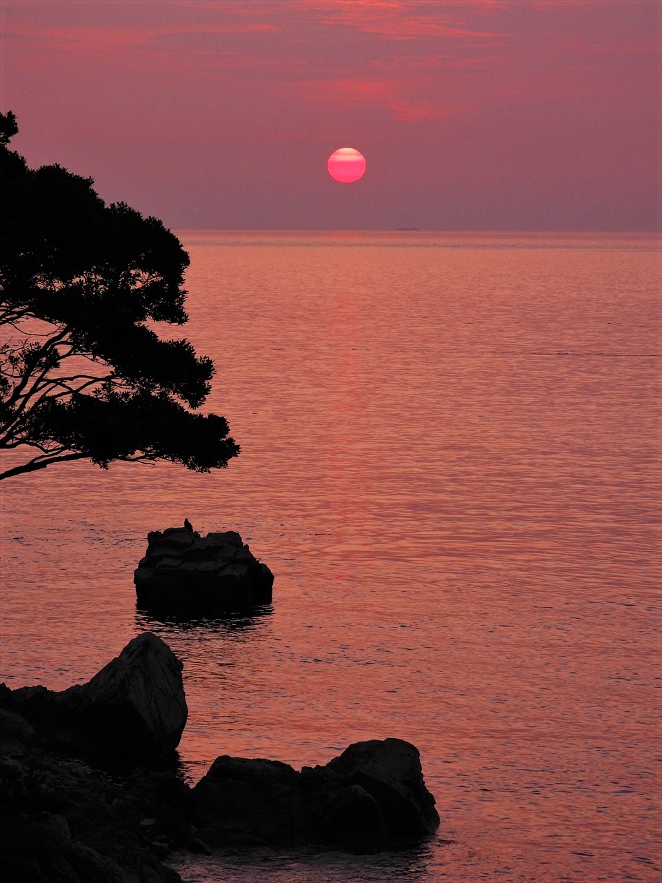 DSCN3950 (2)大阪湾と昇陽２０２１年６月２６日AM４：５７洲本市炬口付近～。