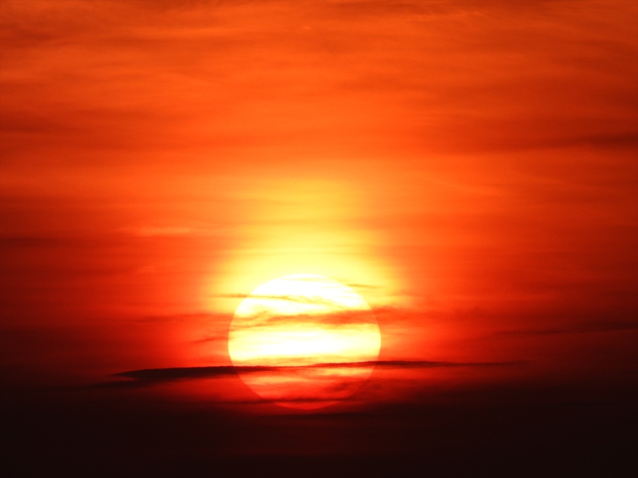 DSCN0924昇陽（大阪湾）（洲本川河口付近）２０２２年８月３日AM５：２３