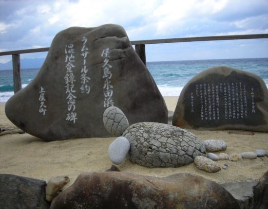 ウミガメ産卵地（日本最大級）、永田浜