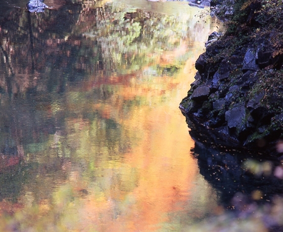 西川渓谷の秋