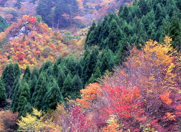 秋の別府峡