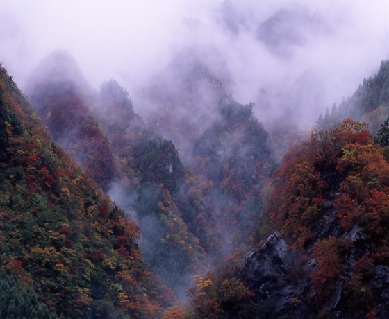 秋の高ノ瀬峡