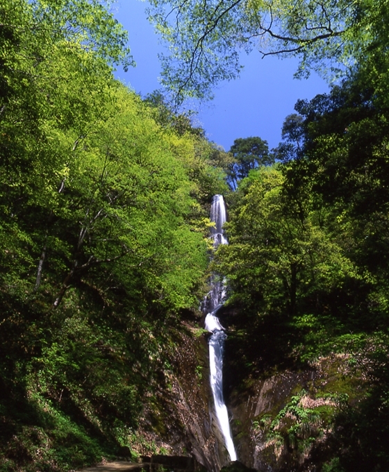 猿尾滝、日本の滝百選