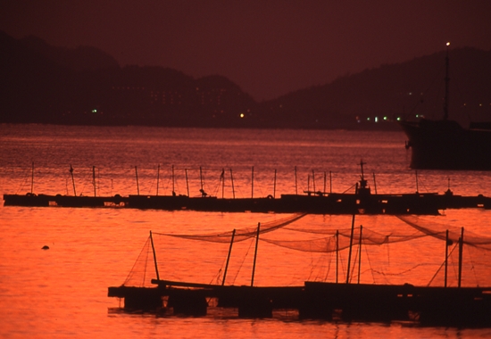 夕照、じゃのひれ、対岸は徳島