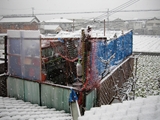 車庫上の菜園も雪に覆われました、鳥避けネットを張ってあります