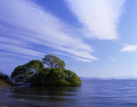 琵琶湖　湖西