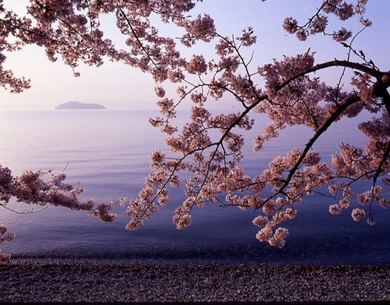 琵琶湖、