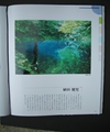神秘の色、青森県・12湖・青池