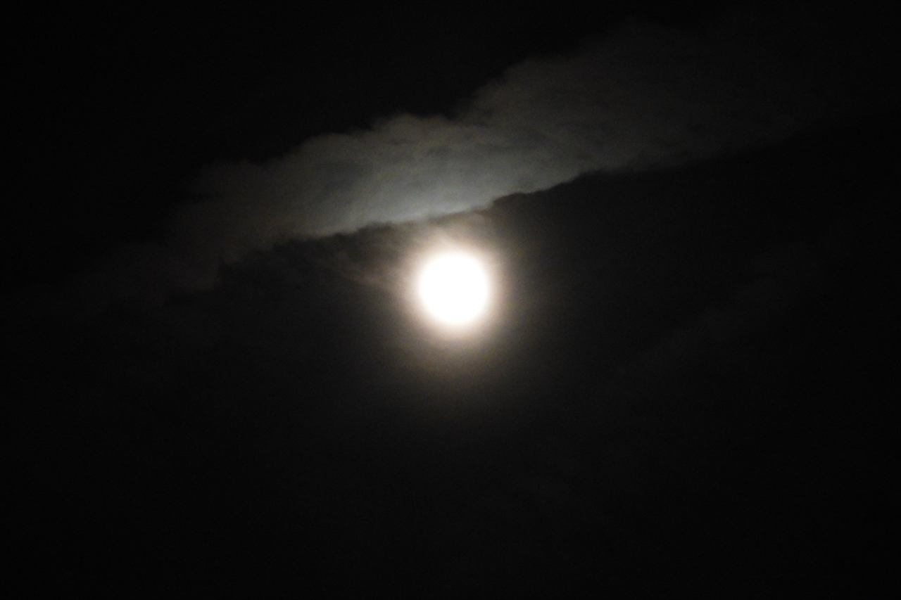 宇原のヒカンザクラ 015昨夜の満月に雲２０２３年３月８日２０：３９
